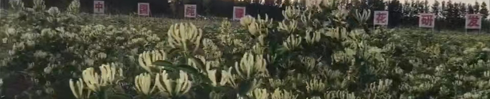 1672214841368696.jpg 微信圖片_20221116104745.jpg