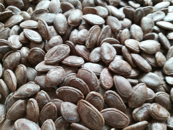 圖片.png 圖片.png