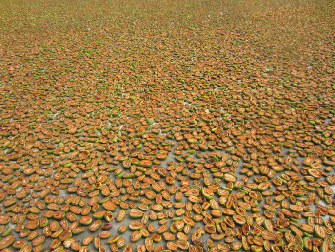 圖片.png 圖片.png